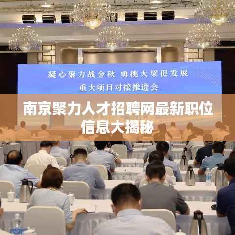 南京聚力人才招聘網最新職位信息大揭秘