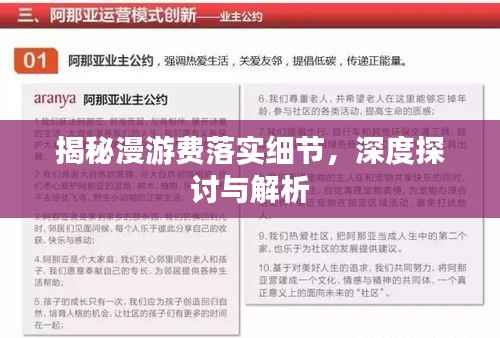 揭秘漫游費落實細節，深度探討與解析