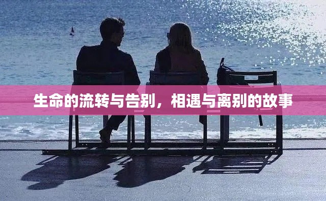 生命的流轉(zhuǎn)與告別，相遇與離別的故事