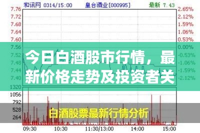 今日白酒股市行情，最新價格走勢及投資者關注焦點