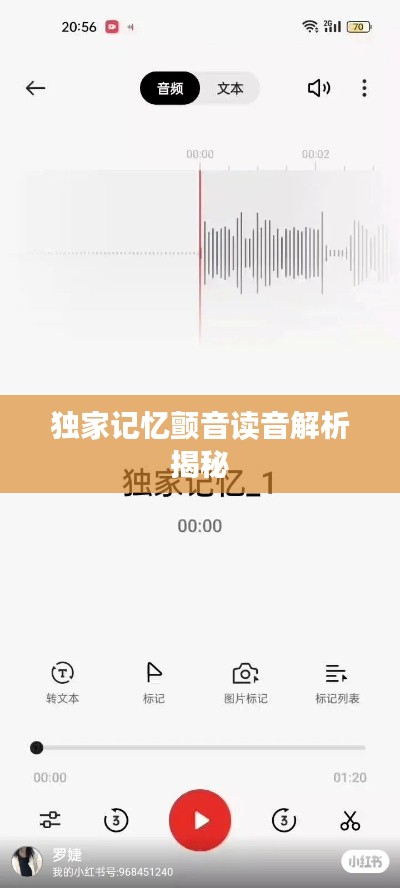 獨家記憶顫音讀音解析揭秘
