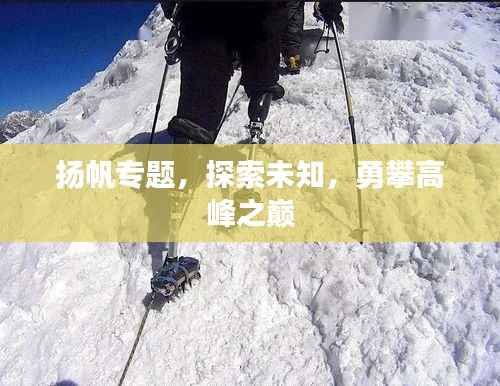 揚帆專題，探索未知，勇攀高峰之巔