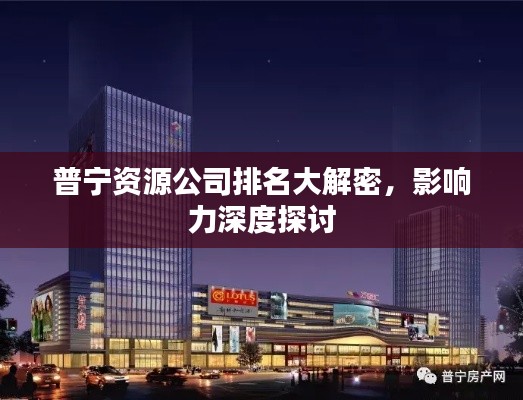普寧資源公司排名大解密，影響力深度探討