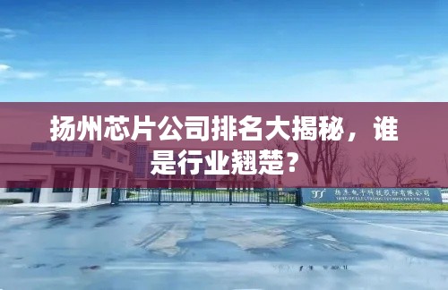 揚州芯片公司排名大揭秘，誰是行業翹楚？