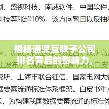 揭秘通鼎互聯子公司排名背后的影響力，行業地位深度解析