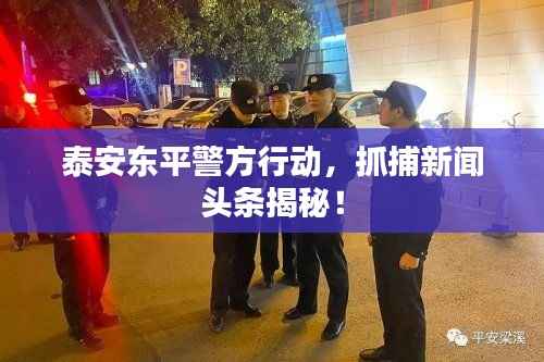 泰安東平警方行動，抓捕新聞頭條揭秘！