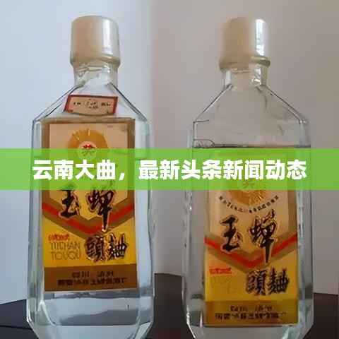云南大曲，最新頭條新聞動態