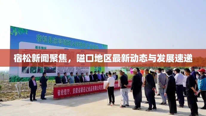 宿松新聞聚焦，隘口地區最新動態與發展速遞