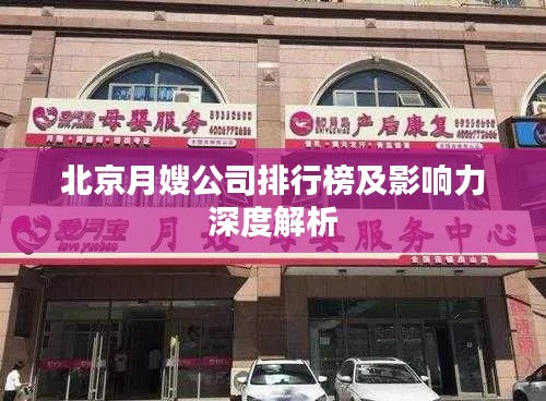 北京月嫂公司排行榜及影響力深度解析