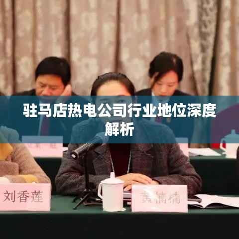 駐馬店熱電公司行業(yè)地位深度解析