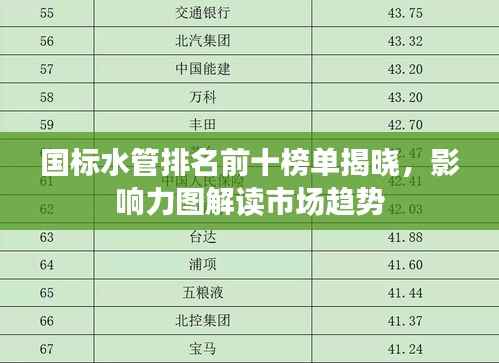 國標水管排名前十榜單揭曉，影響力圖解讀市場趨勢