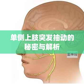 單側(cè)上肢突發(fā)抽動(dòng)的秘密與解析