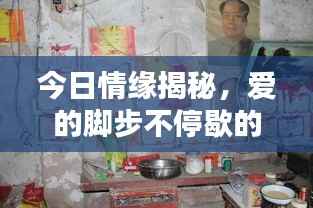 今日情緣揭秘，愛的腳步不停歇的最新動態(tài)