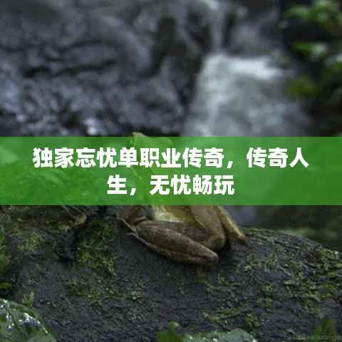 獨家忘憂單職業傳奇，傳奇人生，無憂暢玩