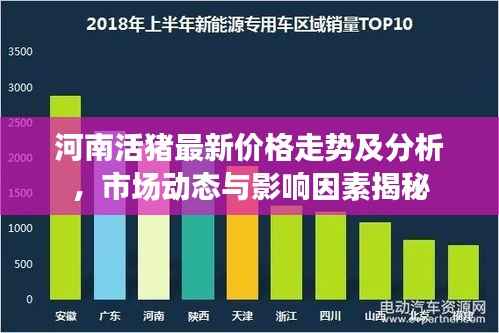 河南活豬最新價格走勢及分析，市場動態與影響因素揭秘