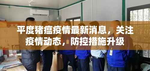平度豬瘟疫情最新消息，關注疫情動態(tài)，防控措施升級