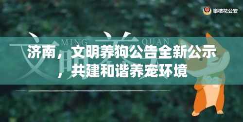 濟南，文明養狗公告全新公示，共建和諧養寵環境