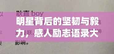 明星背后的堅(jiān)韌與毅力，感人勵(lì)志語(yǔ)錄大揭秘！