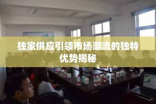 獨家供應引領市場潮流的獨特優勢揭秘