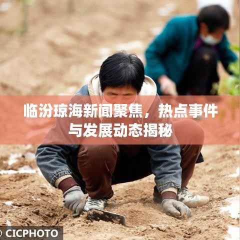 臨汾瓊海新聞聚焦，熱點事件與發展動態揭秘
