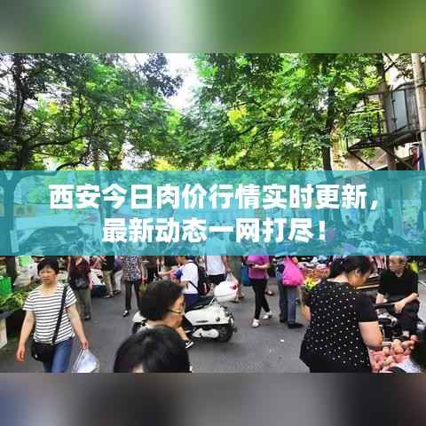 西安今日肉價行情實時更新，最新動態一網打盡！