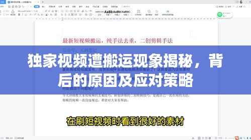 獨家視頻遭搬運現象揭秘，背后的原因及應對策略
