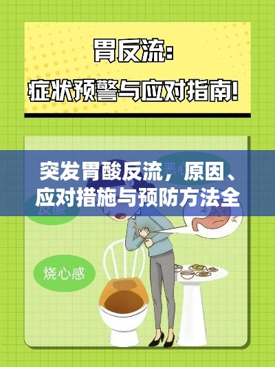 突發胃酸反流，原因、應對措施與預防方法全解析