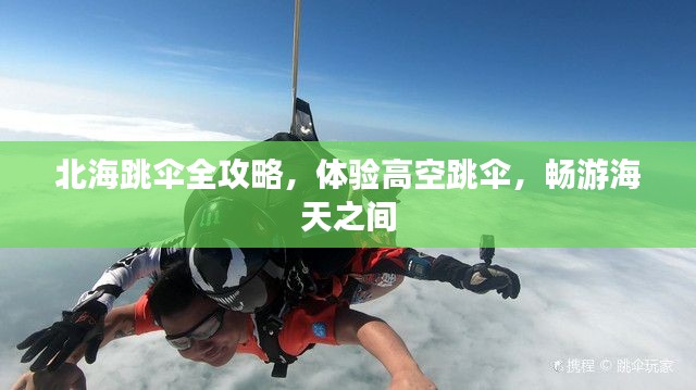 北海跳傘全攻略，體驗(yàn)高空跳傘，暢游海天之間