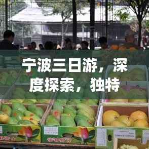 寧波三日游，深度探索，獨特體驗之旅