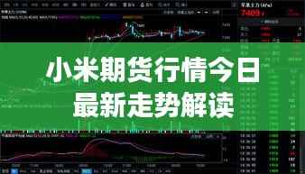 小米期貨行情今日最新走勢解讀