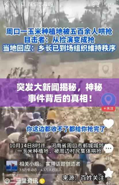 突發(fā)大新聞揭秘，神秘事件背后的真相！