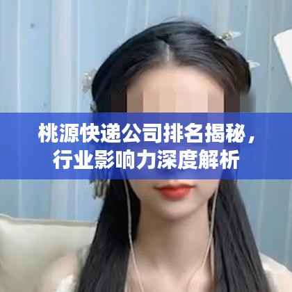 桃源快遞公司排名揭秘，行業(yè)影響力深度解析