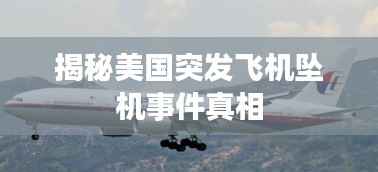 揭秘美國(guó)突發(fā)飛機(jī)墜機(jī)事件真相