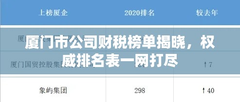 廈門市公司財稅榜單揭曉，權威排名表一網打盡
