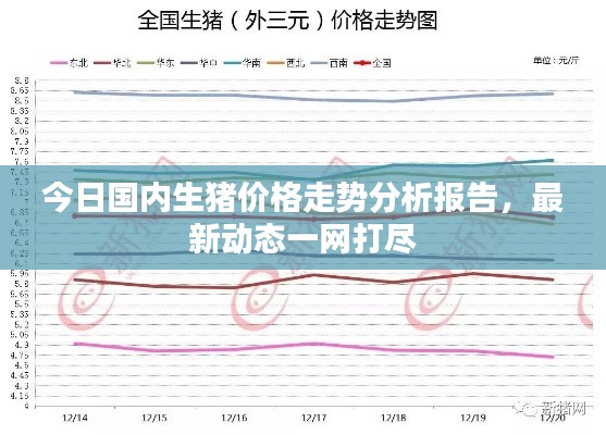 今日國內(nèi)生豬價格走勢分析報告，最新動態(tài)一網(wǎng)打盡
