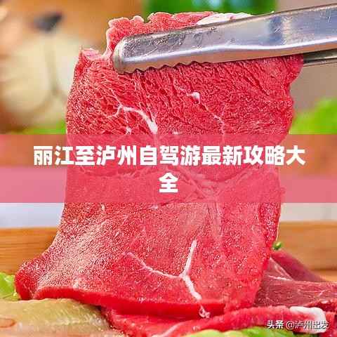 麗江至瀘州自駕游最新攻略大全