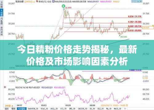 今日精粉價格走勢揭秘，最新價格及市場影響因素分析