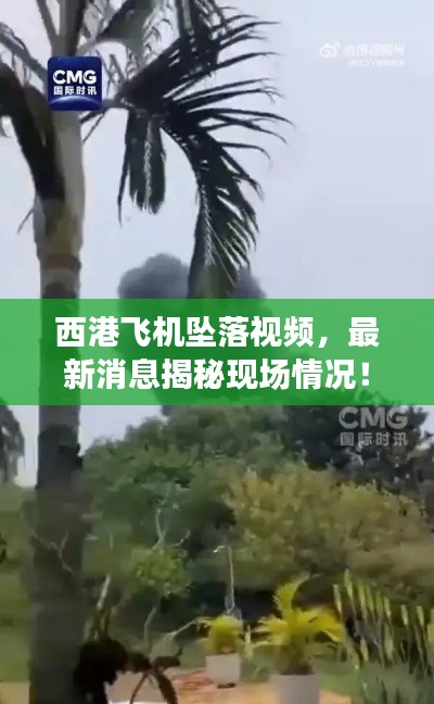西港飛機墜落視頻，最新消息揭秘現場情況！