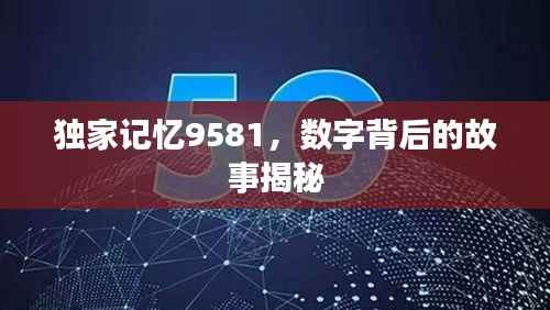 獨(dú)家記憶9581，數(shù)字背后的故事揭秘