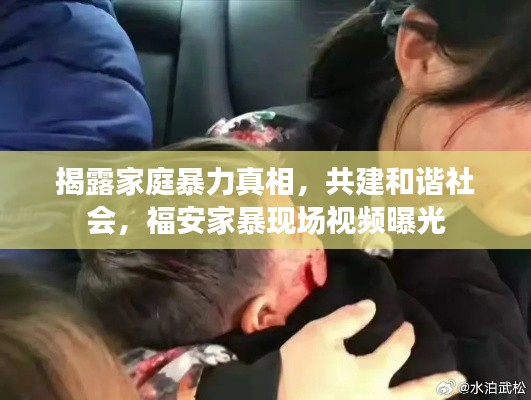 揭露家庭暴力真相，共建和諧社會，福安家暴現場視頻曝光