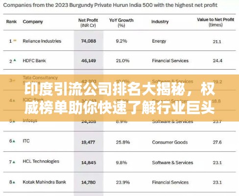 印度引流公司排名大揭秘，權威榜單助你快速了解行業巨頭！