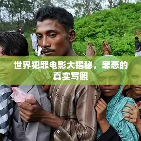 世界犯罪電影大揭秘，罪惡的真實寫照