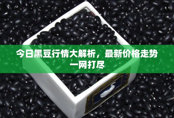 尊道貴德 第5頁