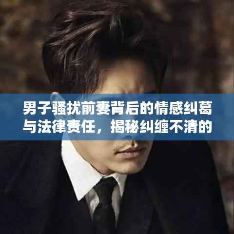 男子騷擾前妻背后的情感糾葛與法律責任，揭秘糾纏不清的法律紅線