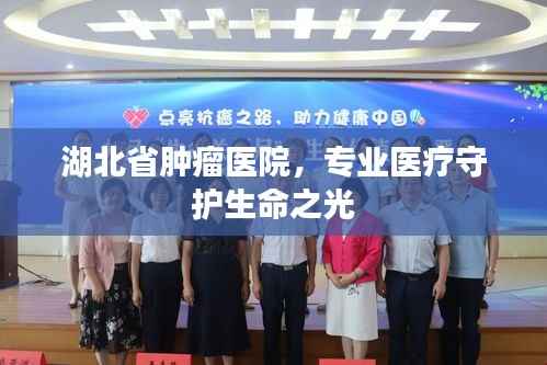 湖北省腫瘤醫院，專業醫療守護生命之光