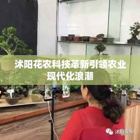 沭陽花農科技革新引領農業現代化浪潮