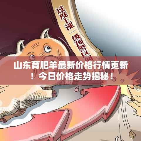 山東育肥羊最新價格行情更新！今日價格走勢揭秘！