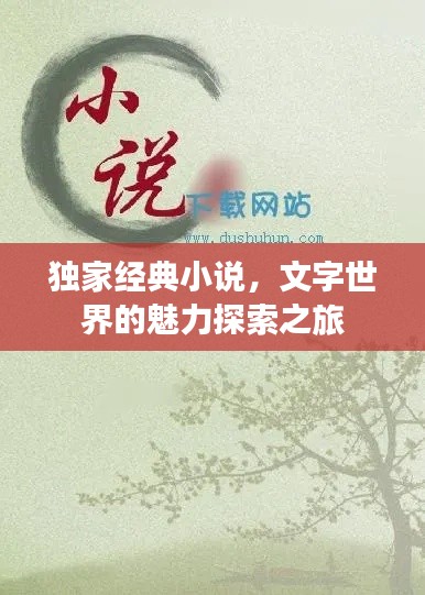 獨家經典小說，文字世界的魅力探索之旅