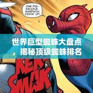 世界巨型蜘蛛大盤點，揭秘頂級蜘蛛排名！