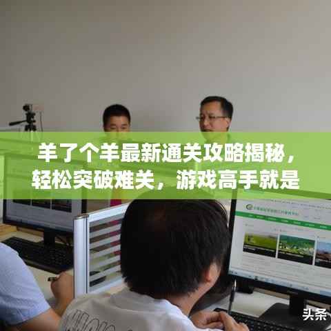 羊了個羊最新通關攻略揭秘，輕松突破難關，游戲高手就是你！